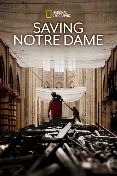 Saving Notre Dame poster