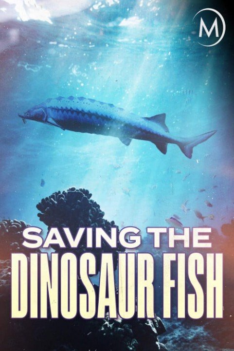 Saving the Dinosaur Fish poster