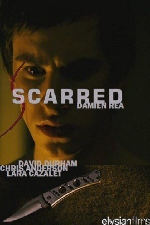 Scarred poster