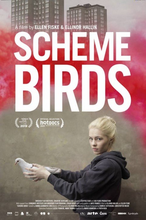 Scheme Birds poster