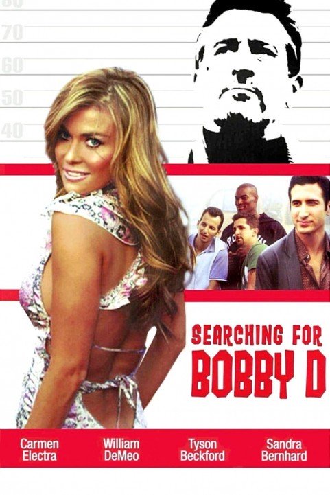 Searching for Bobby D poster