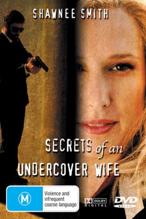 Secrets of an Undercover Wife poster