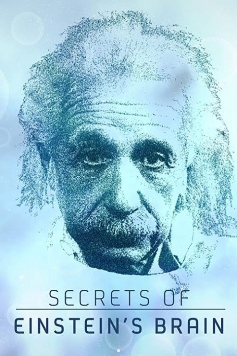 Secrets of Einstein's Brain poster