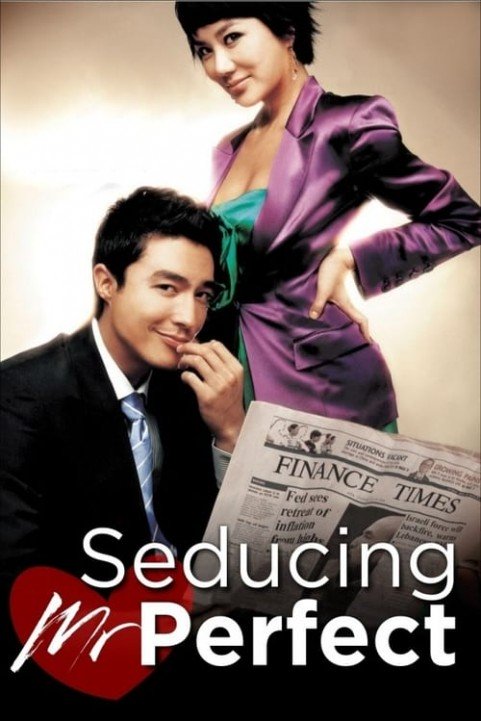 Seducing Mr. Perfect poster