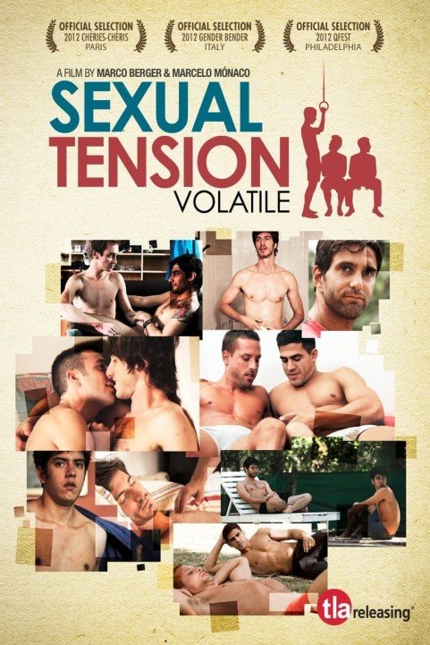 Sexual Tension: Volatile poster