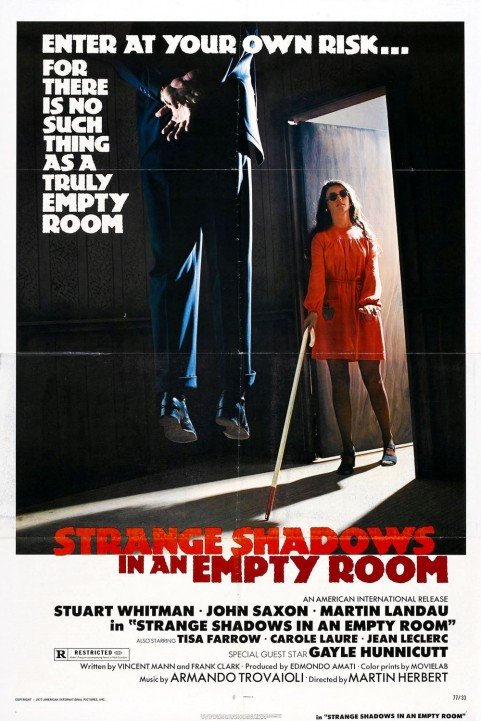 Shadows in an Empty Room poster