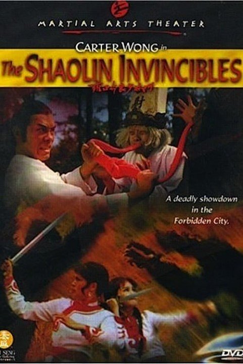 Shaolin Invi poster