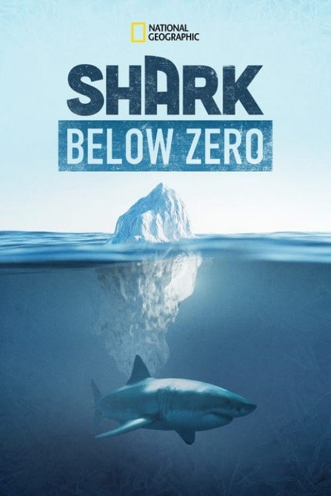 Shark Below Zero poster