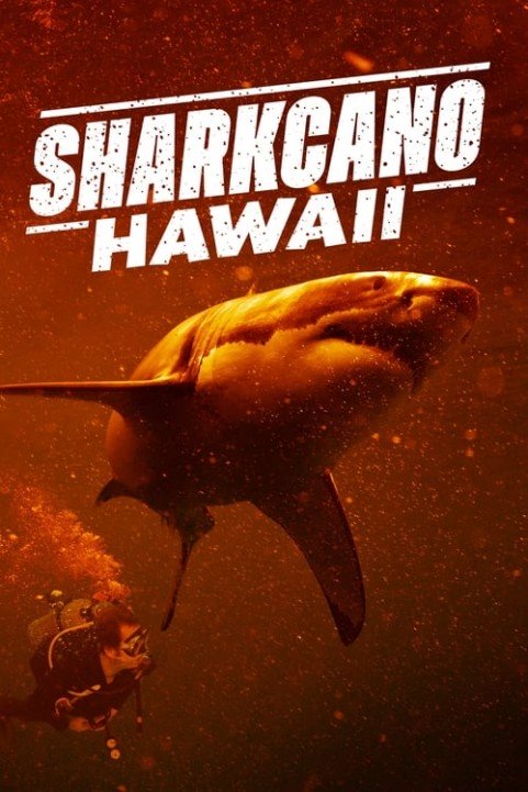 Sharkcano: Hawaii poster