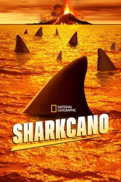 Sharkcano poster