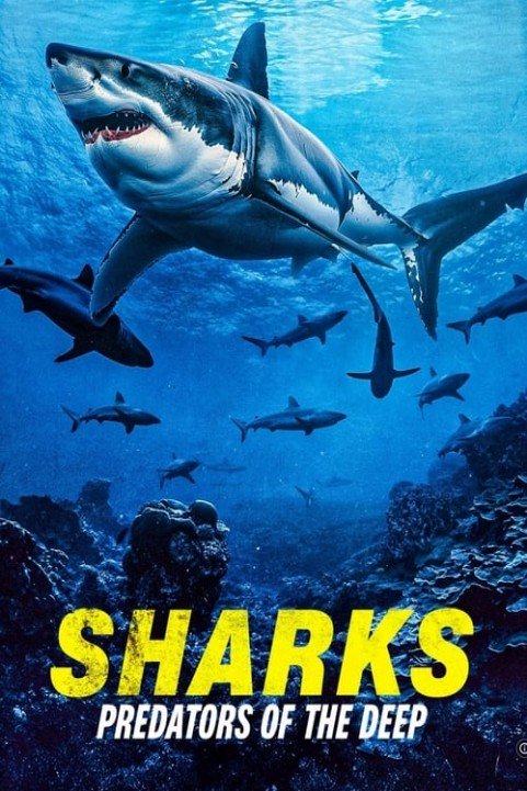 Sharks: Predators of the Deep poster