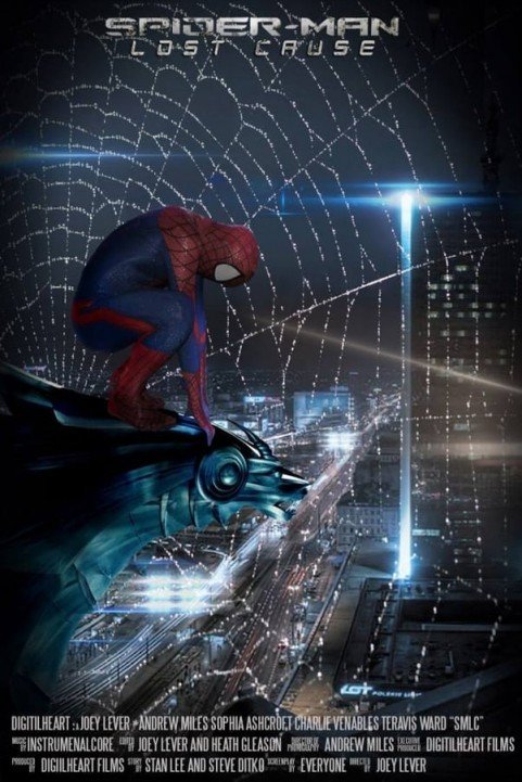 Spider Man Lost Cause poster