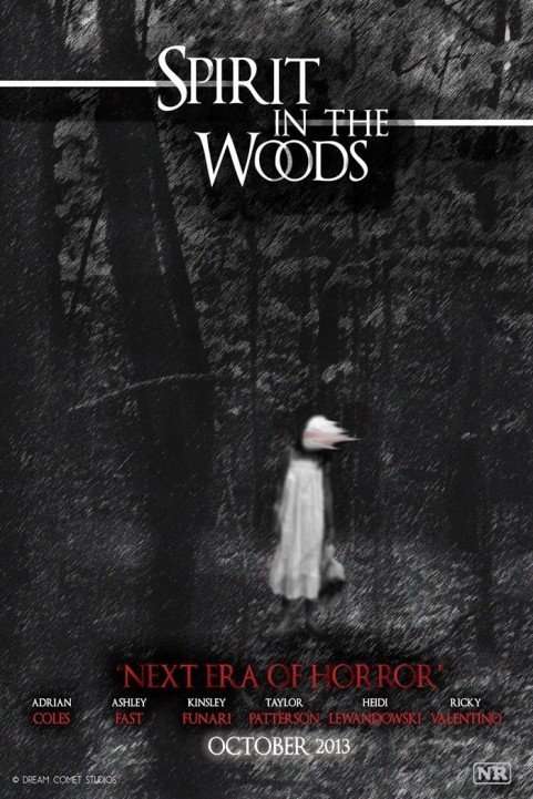 Spirit In The Woods poster