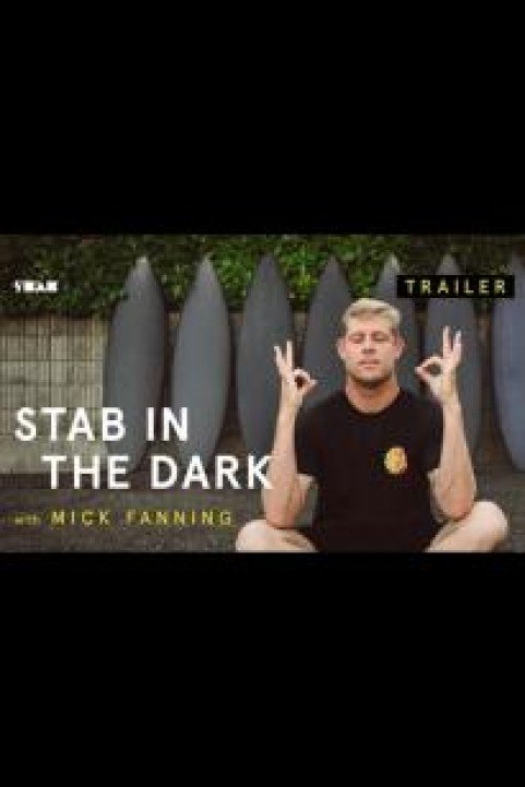 Stab In The Dark poster