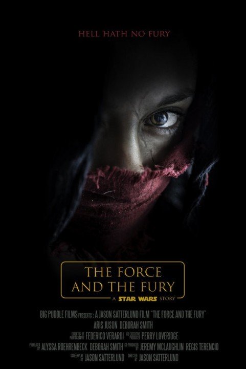 Star Wars: The Force and the Fury poster