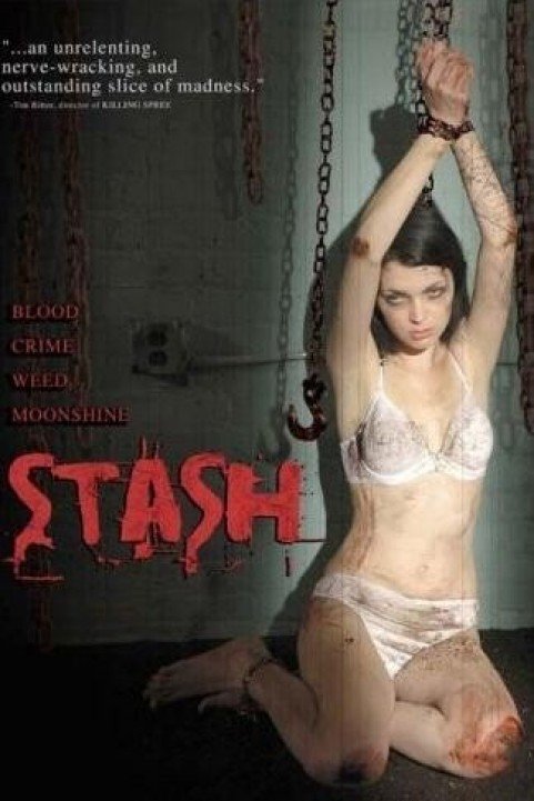 Stash poster