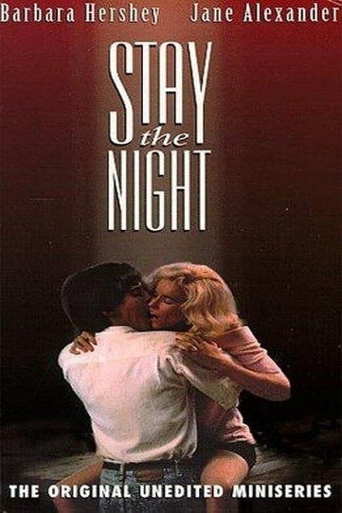 Stay the Night poster