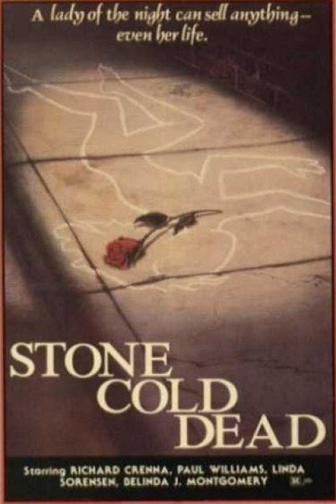 Stone Cold Dead (1979) poster