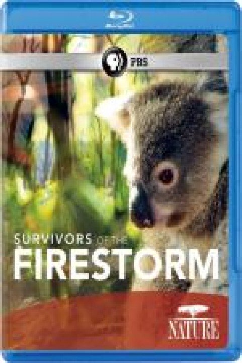 Survivors of the Firestorm poster