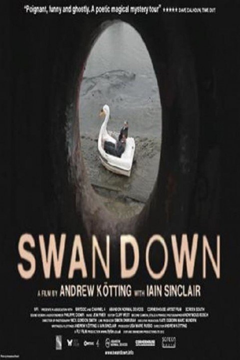 Swandown poster