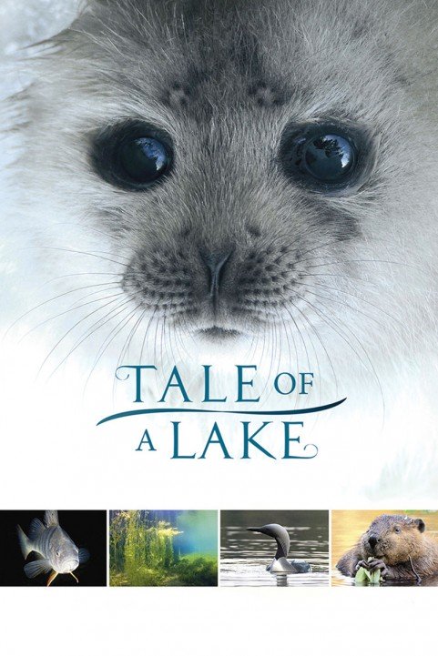 Tale of a Lake poster