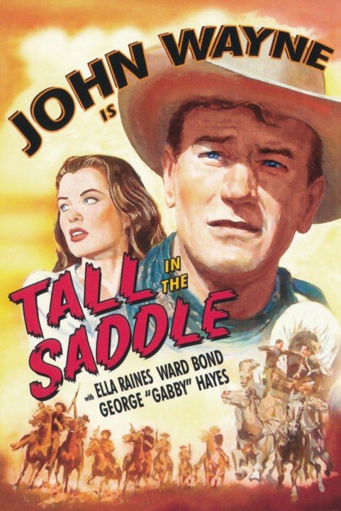 Tall in the Saddle poster