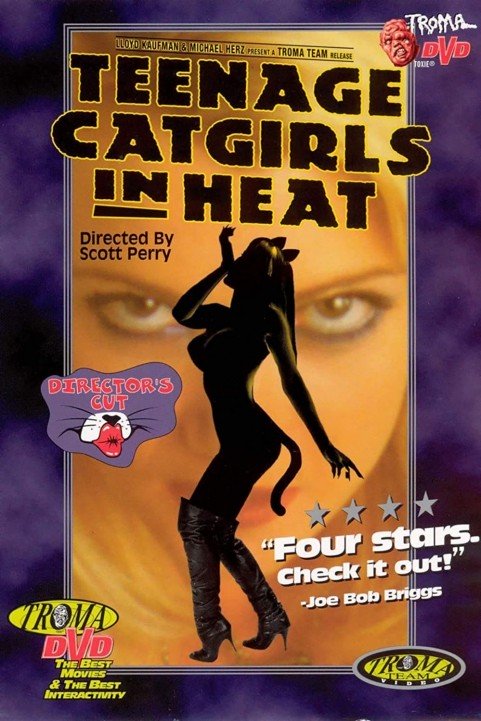 Teenage Catgirls In Heat poster