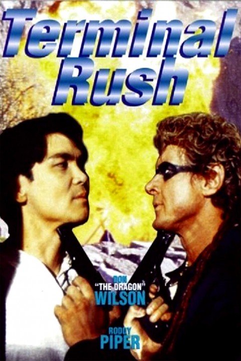 Terminal Rush poster