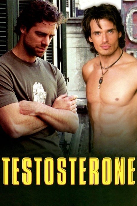 Testosterone poster