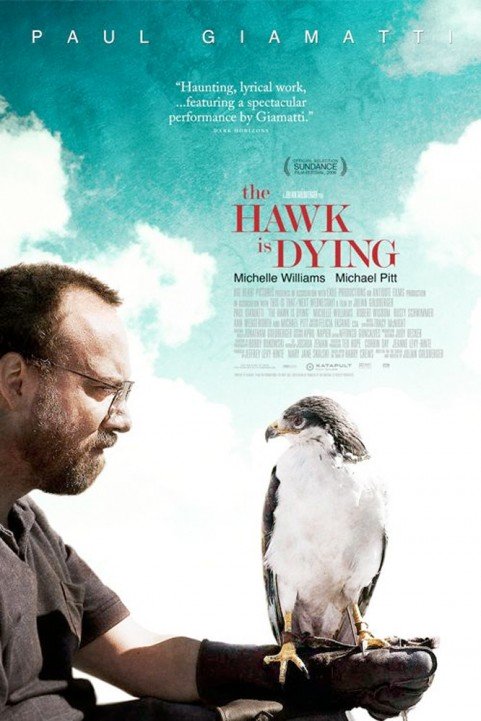 The Hawk Is poster