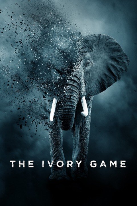 The Ivory Game poster