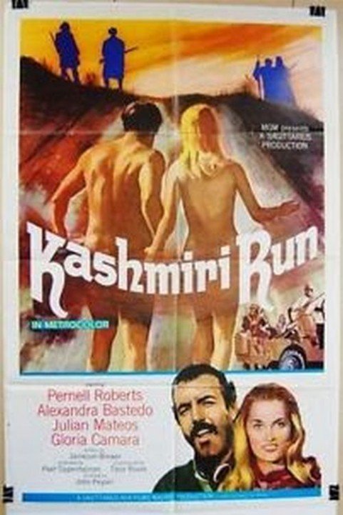 The Kashmiri Run poster