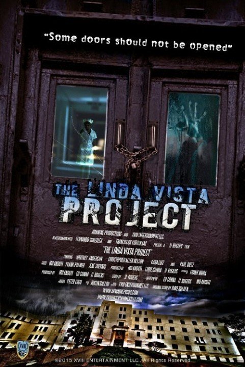 The Linda Vi poster