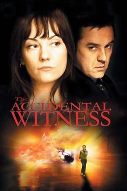 The Accidental Witness poster