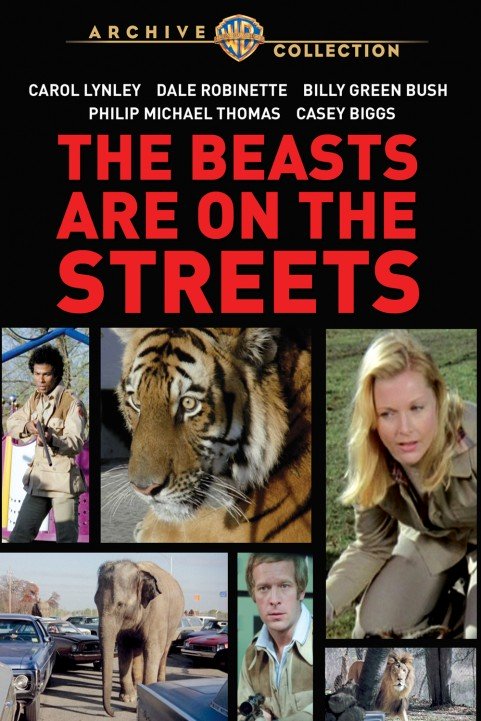 The Beasts Are On The Streets poster