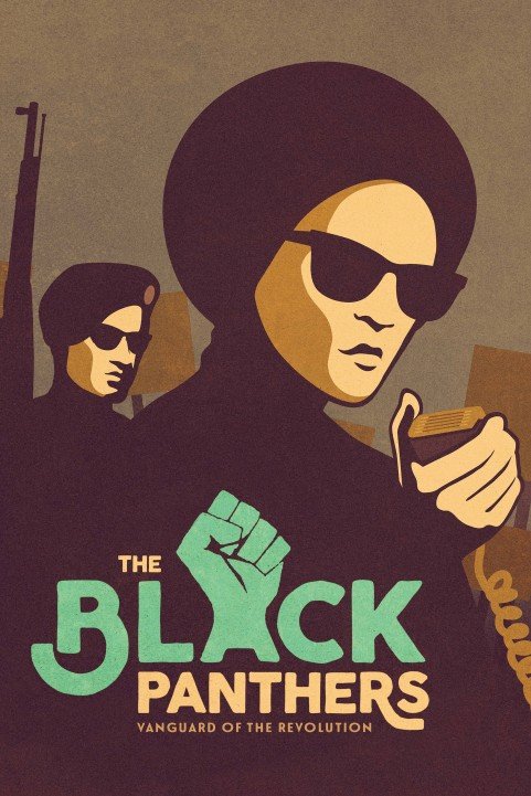 The Black Panthers: Vanguard of the Revolution poster