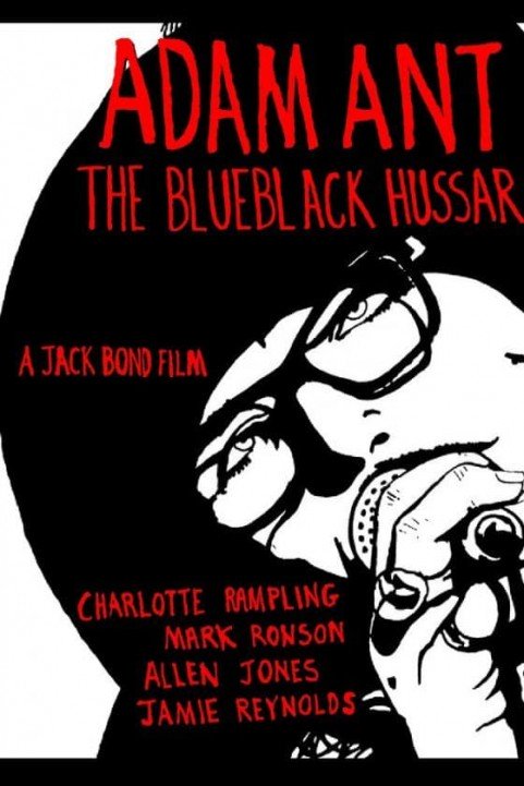 The Blue Black Hussar poster