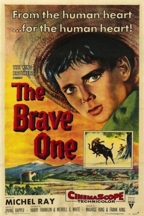 The Brave One poster