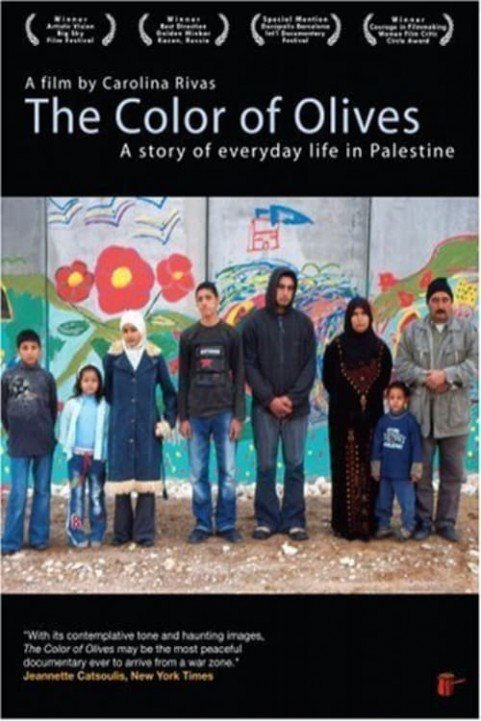 The Colour of Olives poster