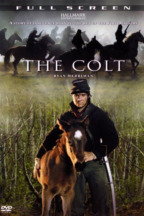 The Colt poster