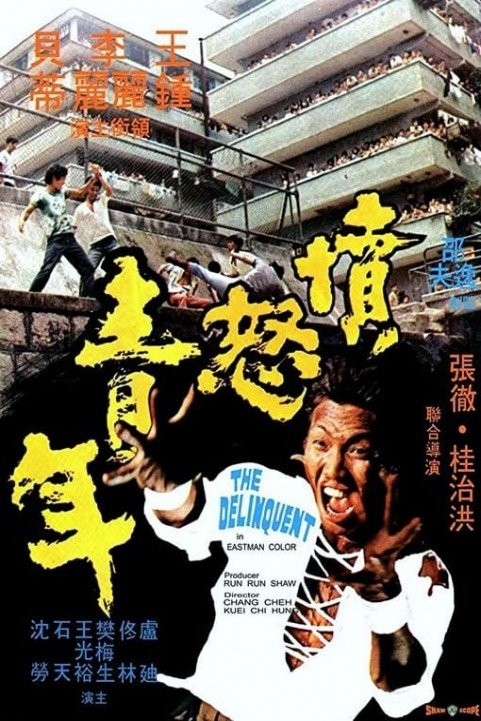 The Delinquent (1973) poster