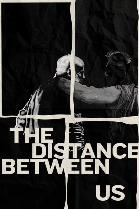 The Distance Between Us poster