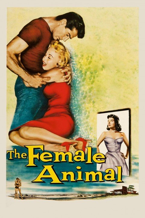 The Female Animal poster