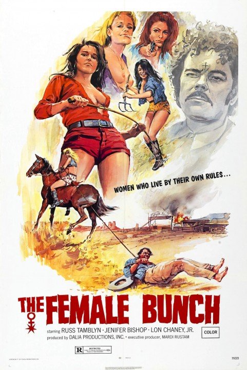 The Female Bunch poster