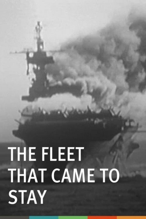 The Fleet That Came to Stay poster