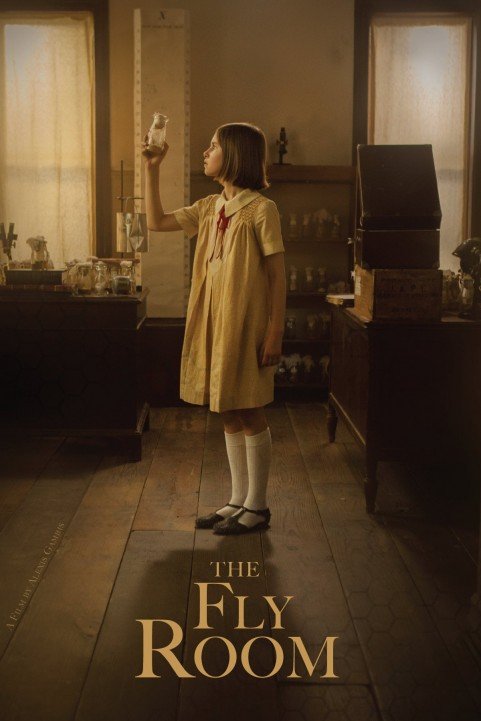 The Fly Room poster