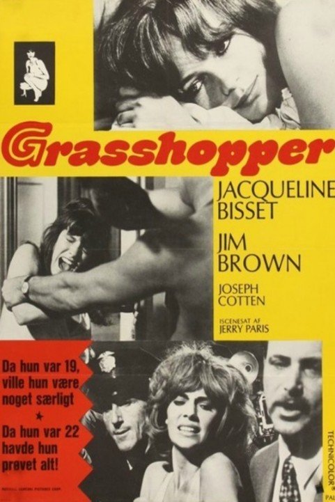 The Grasshopper poster