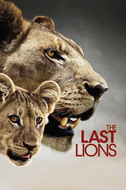 The Last Lions (2011) poster