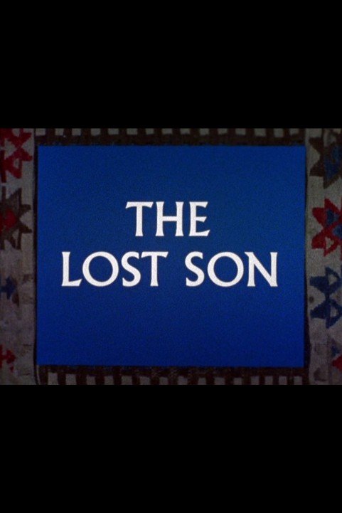 The Lost Son poster