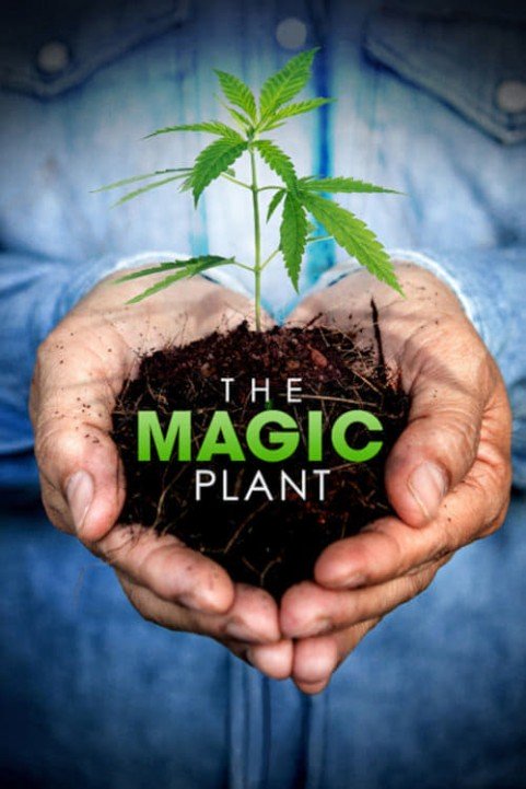 The Magic Plant poster